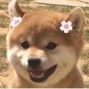 711fbe8c7396560c57f2a03671cdc179