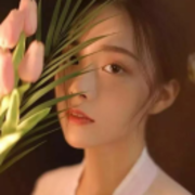 柠檬-12845373