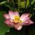 Small 281703a8c41c858d98eb4b8f9f120e0f