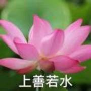 冲向菜市场的老太婆👵