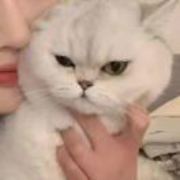 万事终将如意.