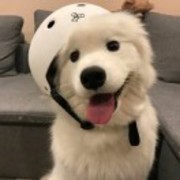 579c61a4d34f50c711fd60d5aae974b0