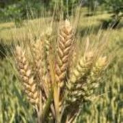 IT人力外包服务商&&su