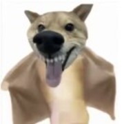 葭鸣
