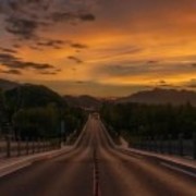 波波维他奶奇逃出生天