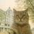 Natsume-Takashi