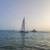 Small 10754c058ef3606d05a0d2869816edce