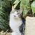 Small 8407ce10a6f768764f2b1f69cca3d3ff