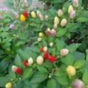 王建-df18eb8d