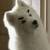 Small c9a17e6f7eab9617fcd5dd73db341654