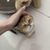 Small 9cb243bc0f455a3df4858b53a755357e