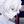 Tiny 21c7ef50708896b728cabc382ceb642f