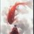 Small 4c093168a1a635dc0b8f41a109ec4858