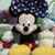 Small d299c931d386ce02deed476391a0d3cd