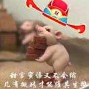 叶飘零