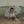 Tiny bd7a8404a241b7ff353769fb4fdfd106