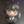 Tiny 0f2869ef018f4d2ce8a57a29f256d0f2