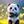 Tiny 4be127882b11be4d399b7582f624e71d