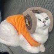 不要再瘦啦