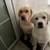 Small 96d58abf181e7a620514808731735ccd