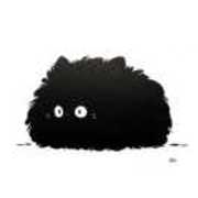 天天向上-03a98779