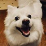 36d32bc11437f4e1168e409e754f5f65