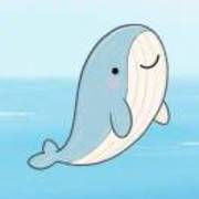 🐳鲸都小程序🐳13999248581