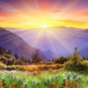 太傅丨知行合一