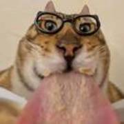 Ca5138e94dce3005c5308ca5a0664f96