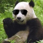 Eabbdfae1fcee8a14fc6db544b0d92e6