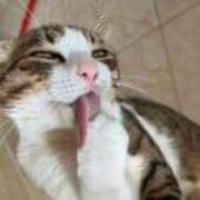 网页全栈开发-子炫(兼c#EPM系统)