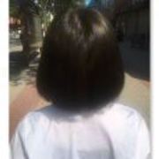 爱说话的小狐狸