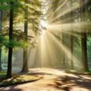 13a61e0241055cc977260e3845fda6ea