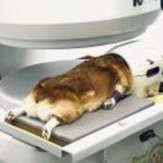 A80cf3ebe237d62ab1c4b03fcb8b3916