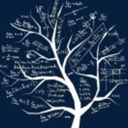 灯火阑珊🇨🇳🇨🇳