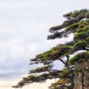 A000000AI智能体_仇军