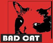 badcat studio